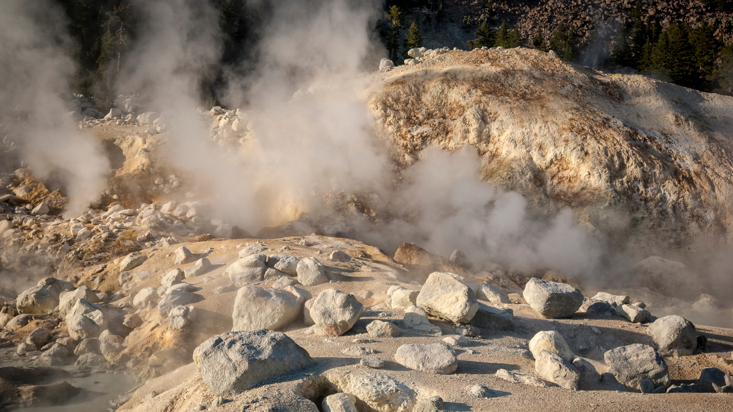 Newly Discovered 'Fire Amoeba' Can Survive Sweltering Temperatures