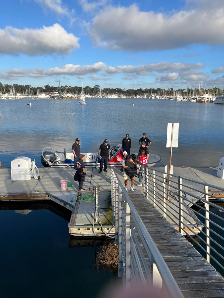 AirTag helps locate dog swept out to sea as lifeguards pull off ...