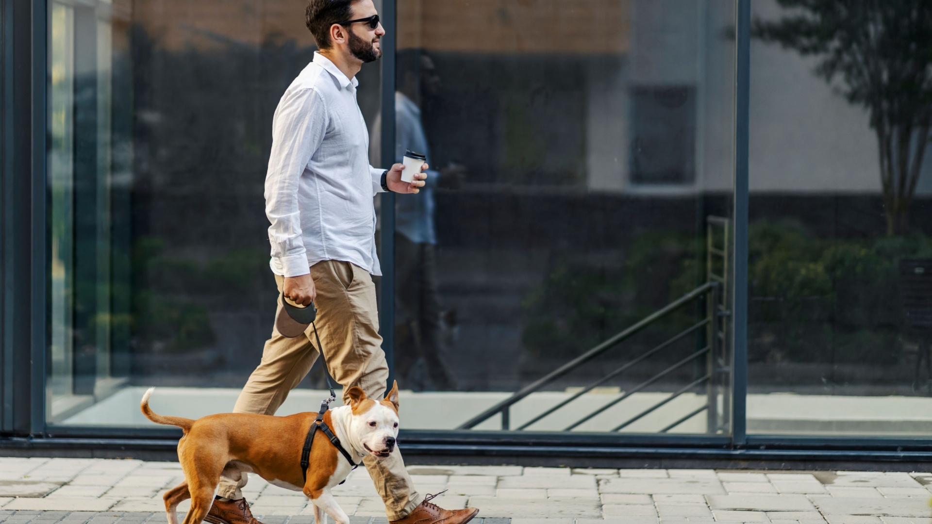 dog-walking-hacks-that-ll-make-you-a-better-pet-owner