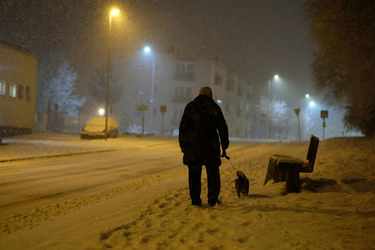 dog-walking-hacks-that-ll-make-you-a-better-pet-owner