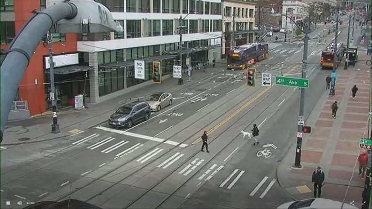 Man with gun arrested for ramming Seattle police vehicle with stolen car