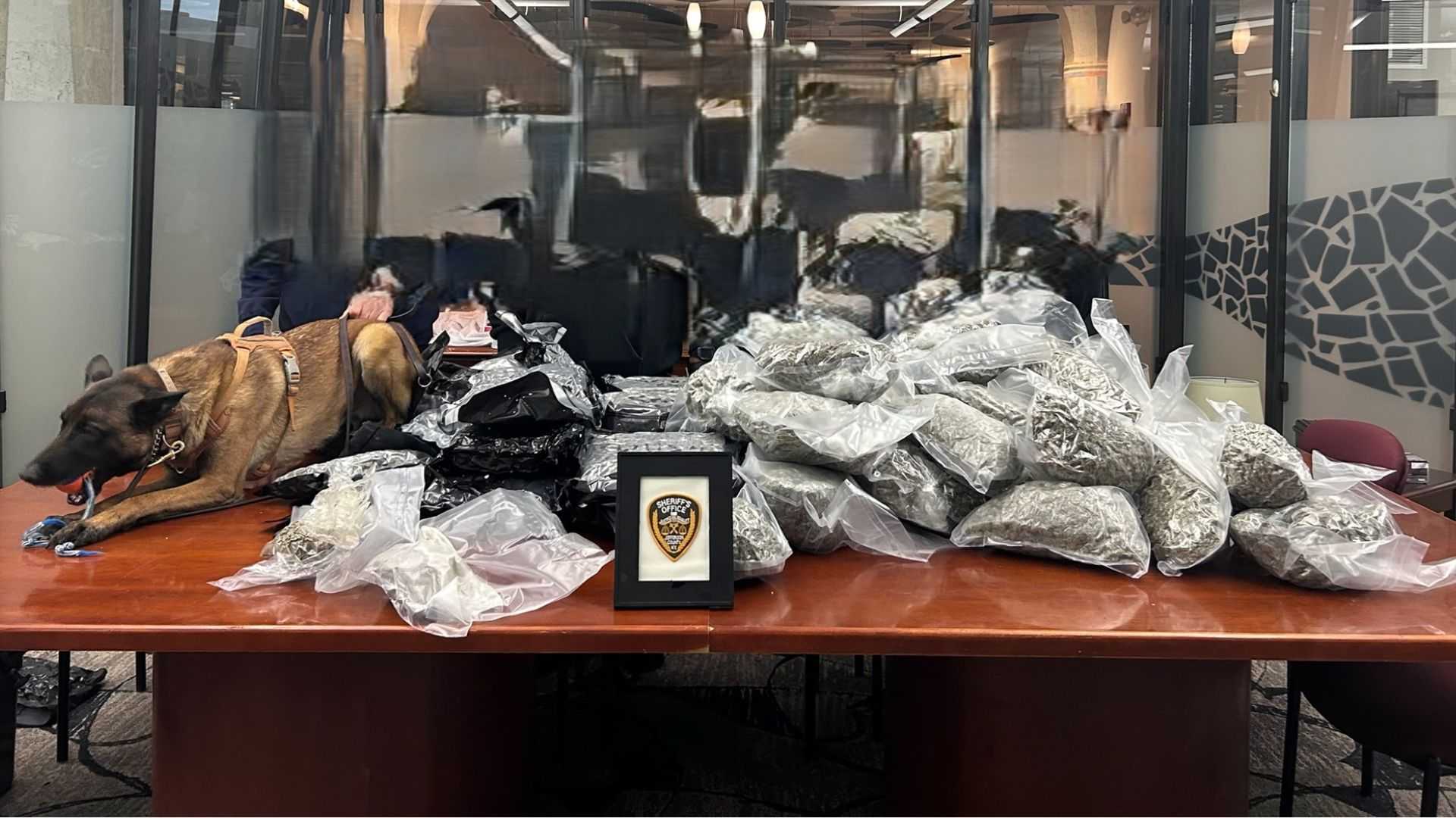 Jefferson County Sheriff's Office seizes 110 pounds of drugs, including ...