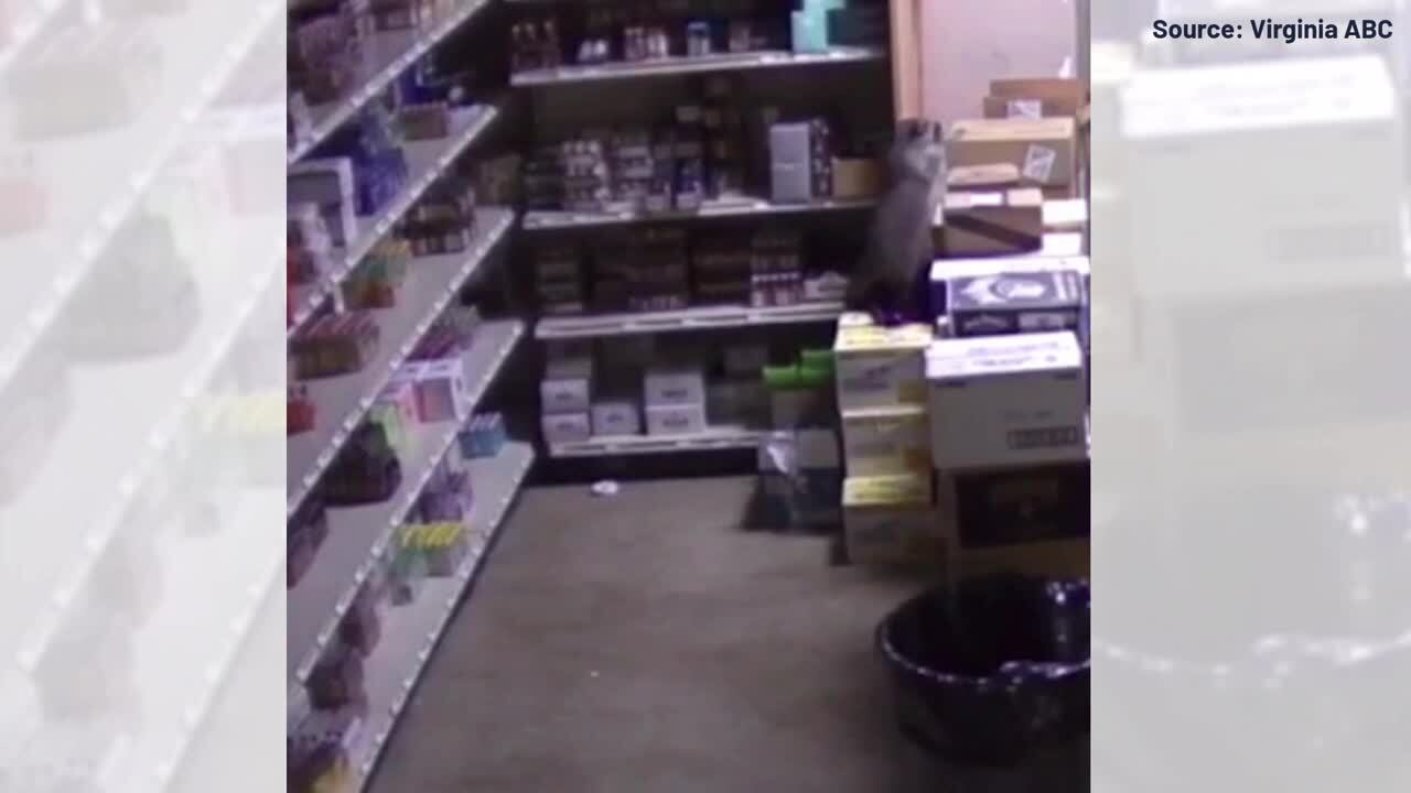 Watch: Surveillance footage shows raccoon breaking into ABC store