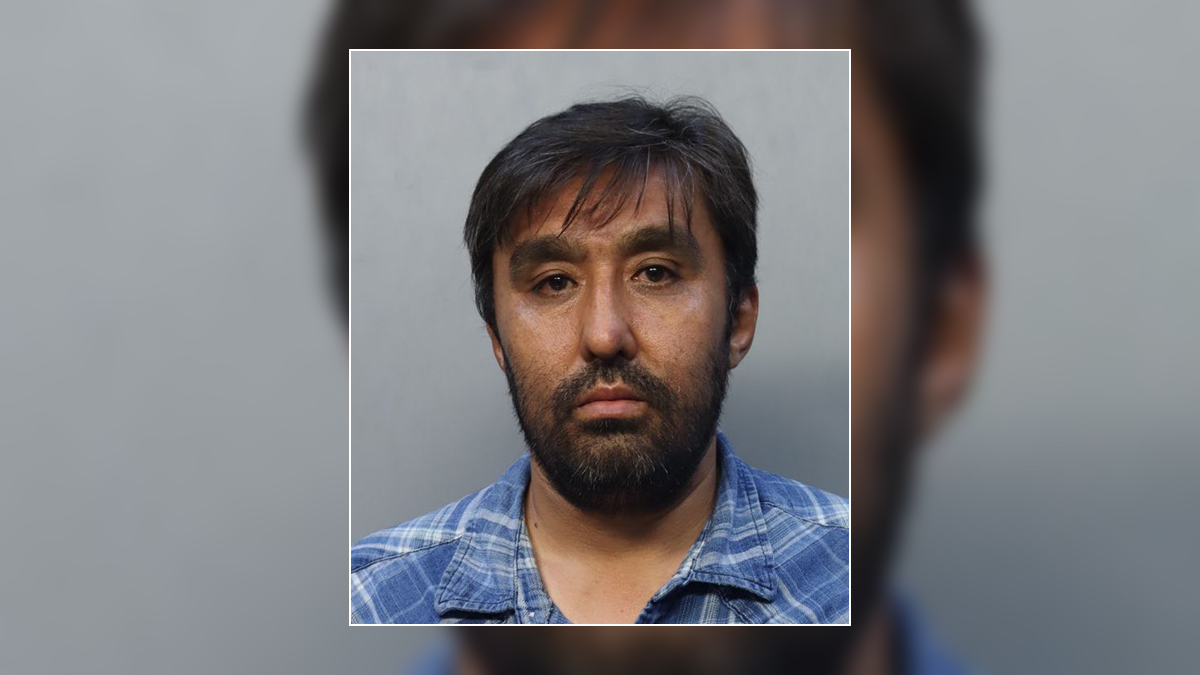 Man arrested after stolen cars bound for U.A.E. found in shipping ...