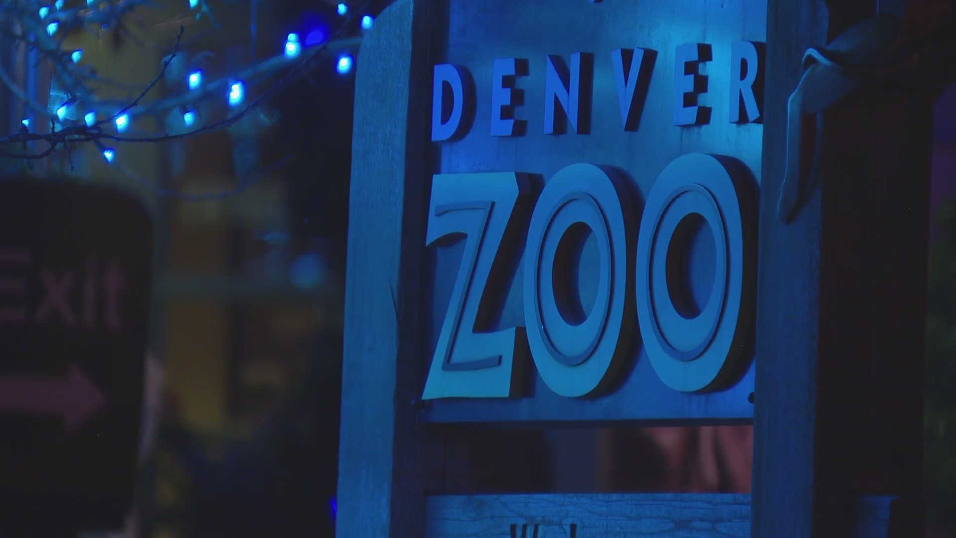 Denver Zoo closed Wednesday due to snow, will reopen Wednesday evening ...