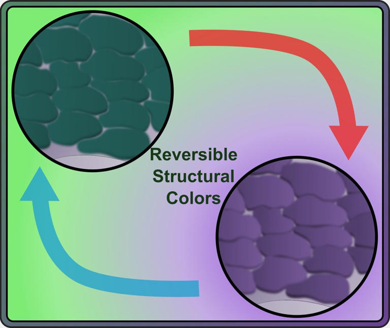 Smart material instantly changes colors on demand for use in textiles ...