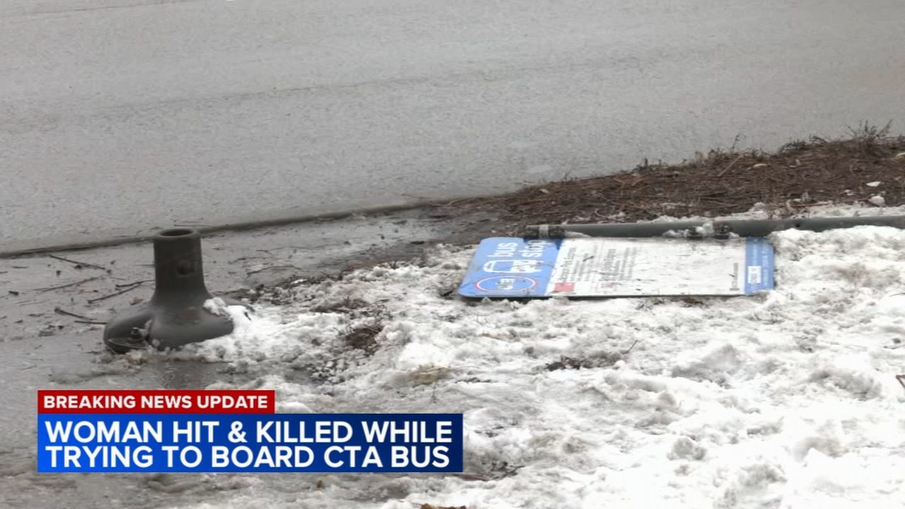 Woman struck, killed by CTA bus in South Shore identified