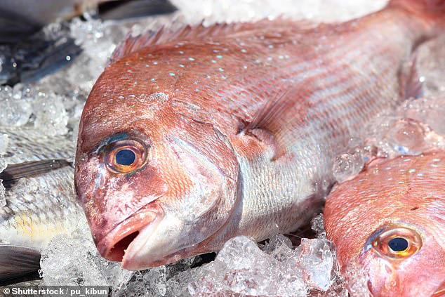 Huge new fishing ban introduced in Australia: What you need to know