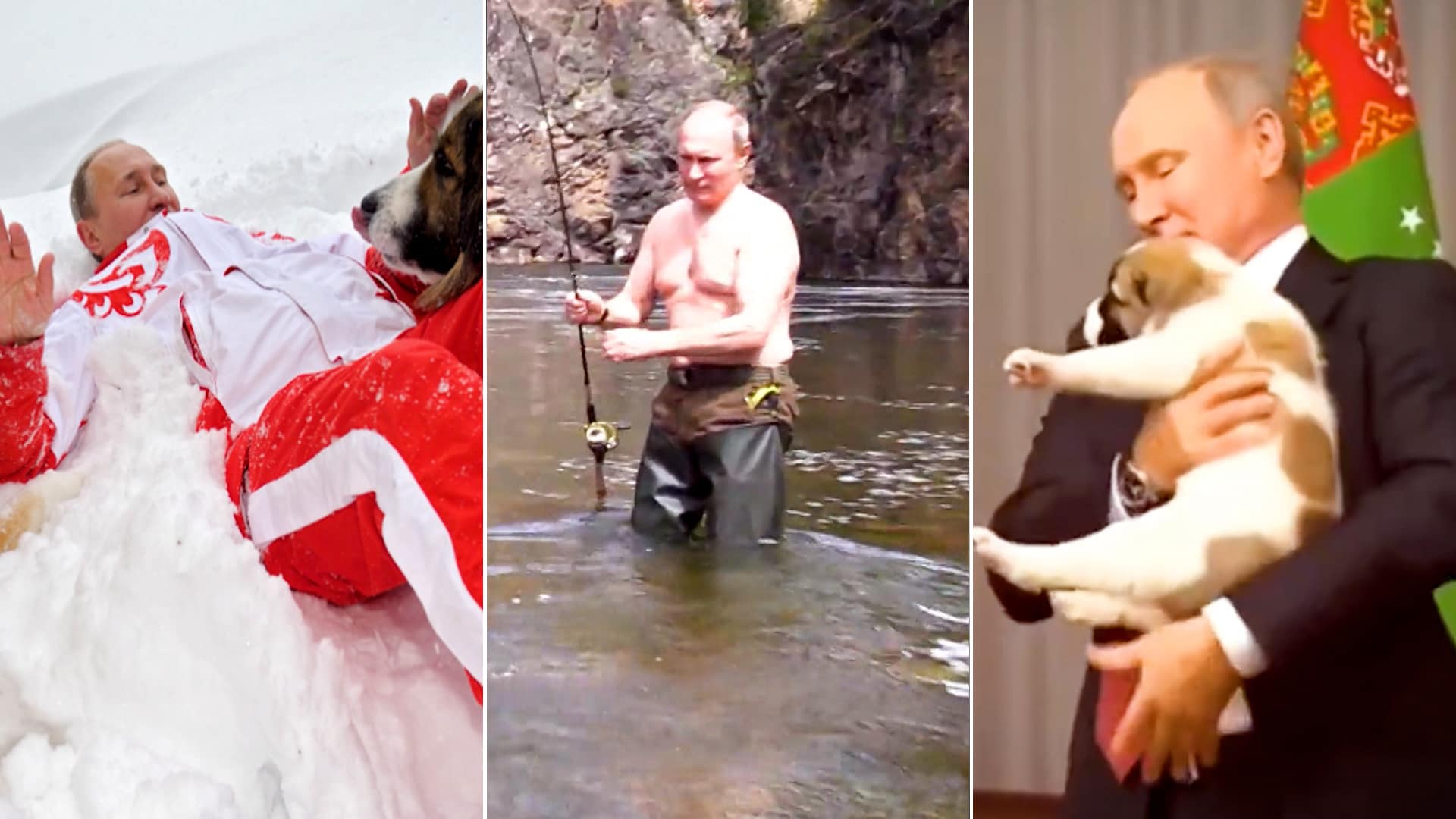 Putin's viral moment Why the can't look away