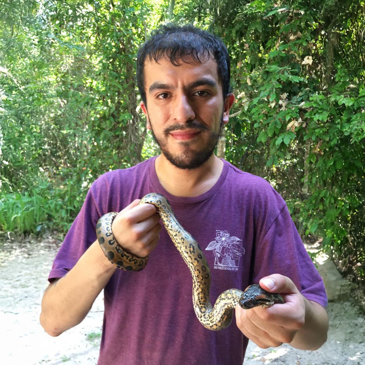 Anacondas became giants long before humans walked the Earth