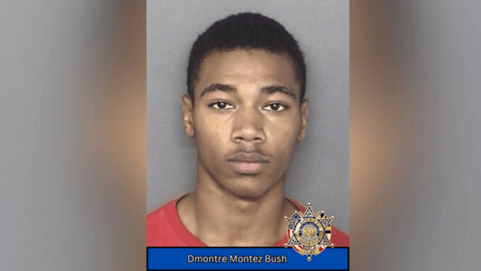 Lexington Park man accused of stabbing and robbing his friend