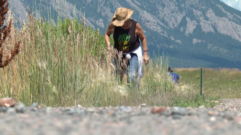 Investigators: Missing Colorado man found after 4 months in Coal Creek