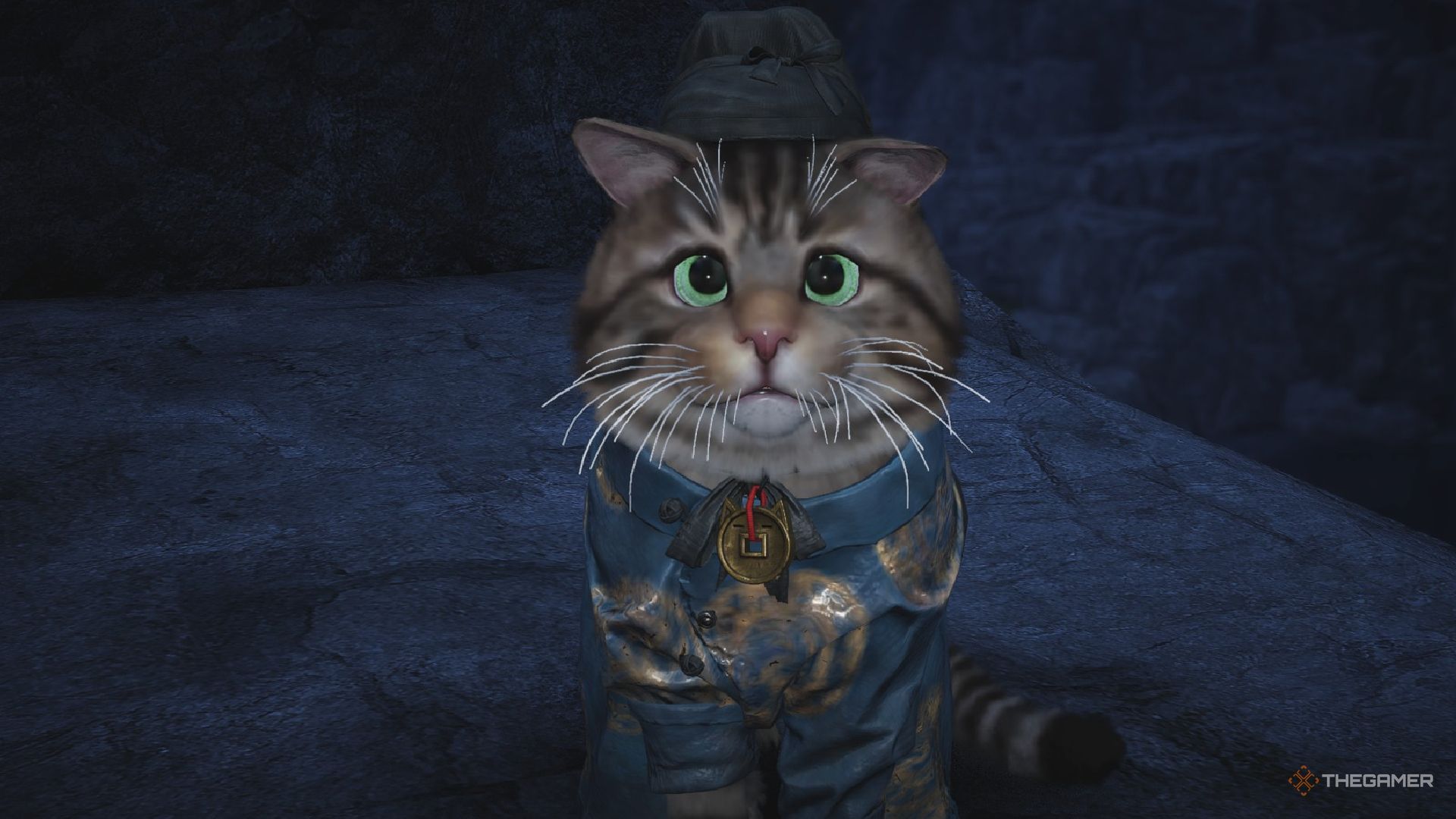 How to solve all Kaifeng Meow puzzles in Where Winds Meet