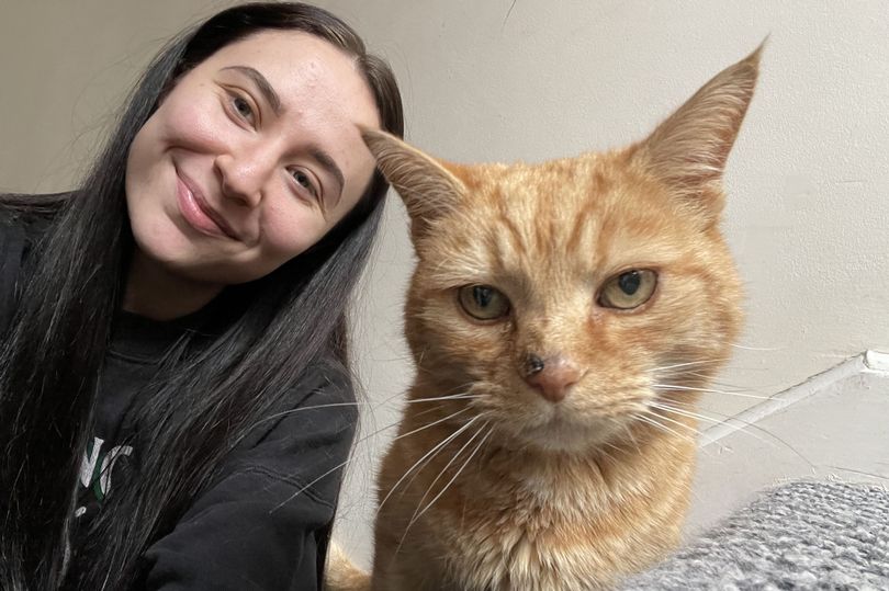 'Miracle' as cat returns home 12 years after going missing