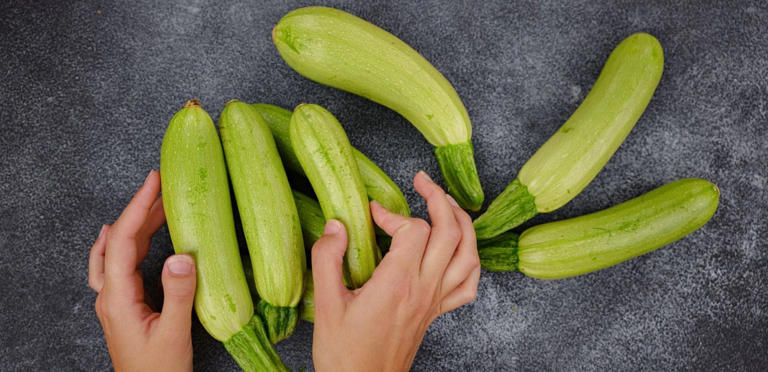 حبات الكوسا