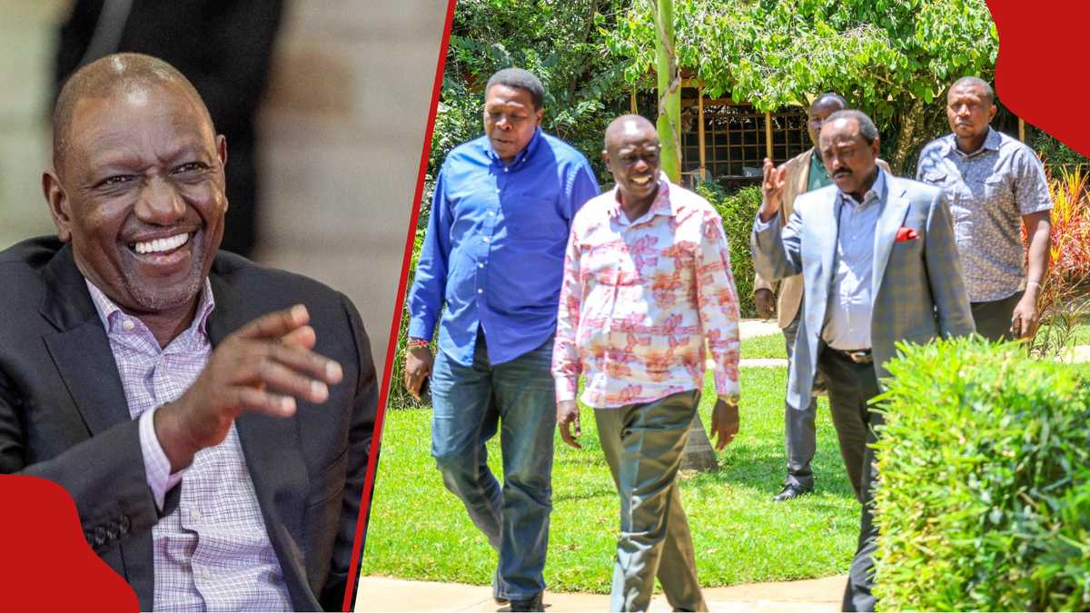 Esther Passaris defends Ruto, says he lacks a worthy opponent ahead of ...