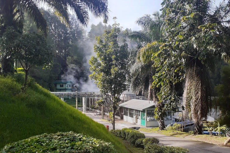 Dampak izin hutan dicabut, Toba Pulp (INRU) bisa kehilangan pasokan
