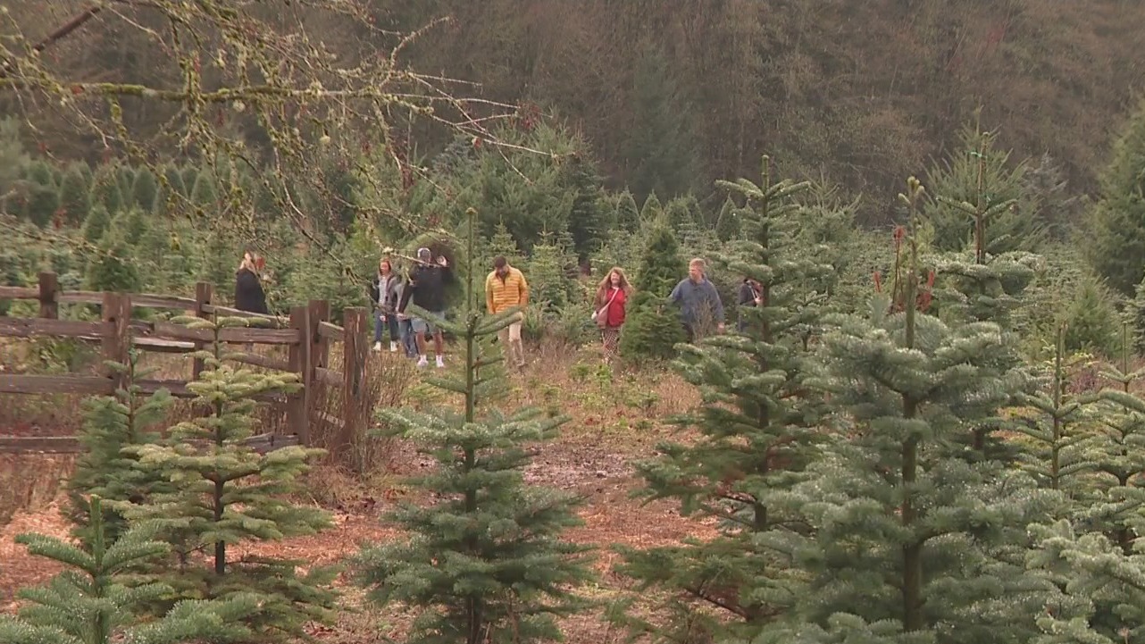 Being family-friendly 'is paramount' at Portland ranch