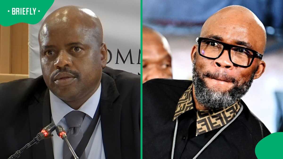 Julius Mkhwanazi admits to having financial relationship with Cat Matlala