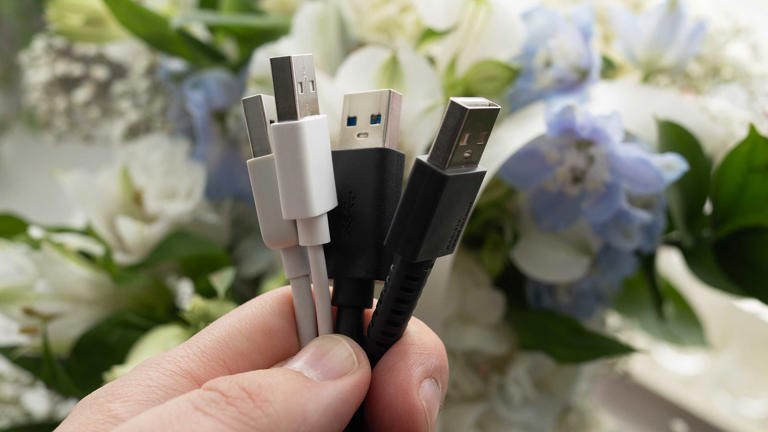 A handful of USB-A cables.