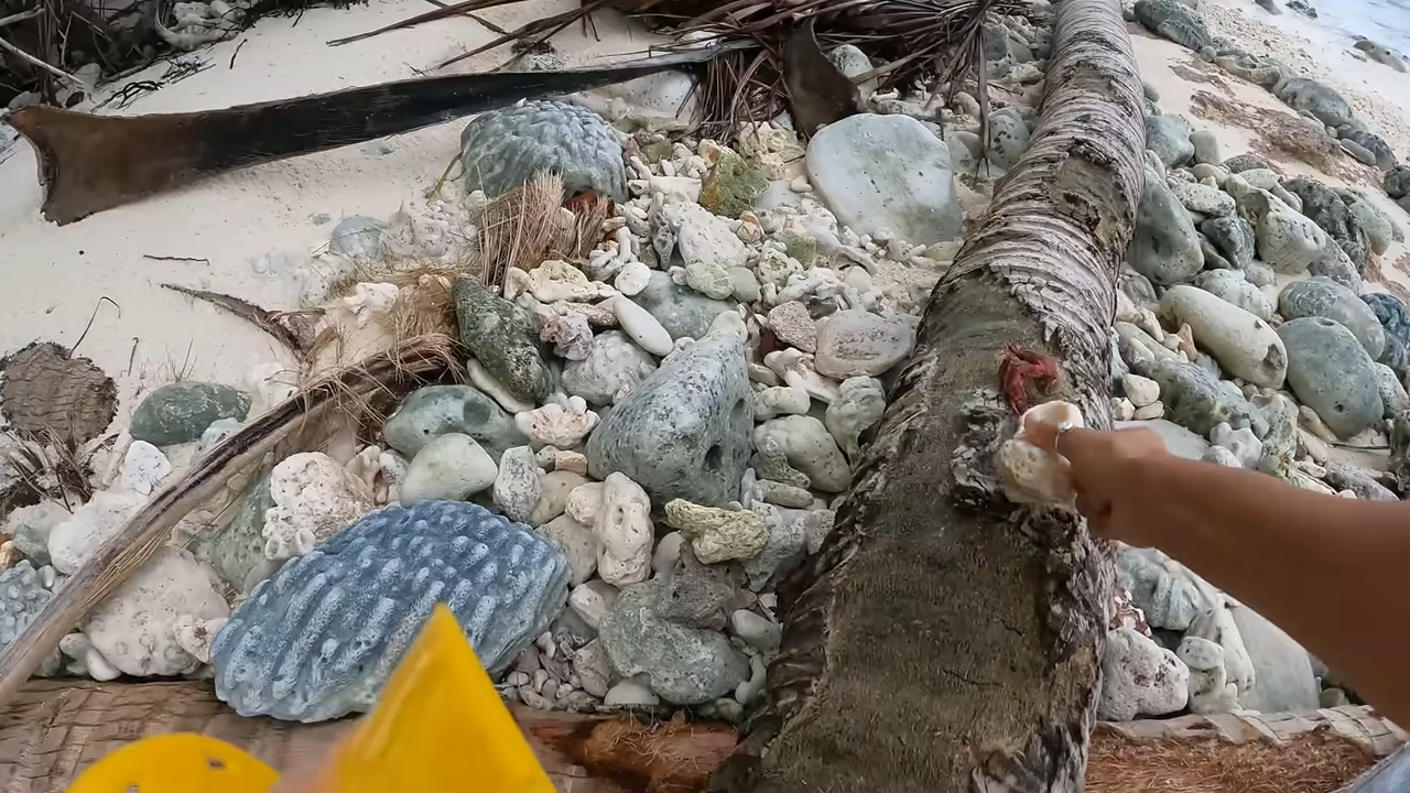 How a sudden storm redefined the challenge of island survival