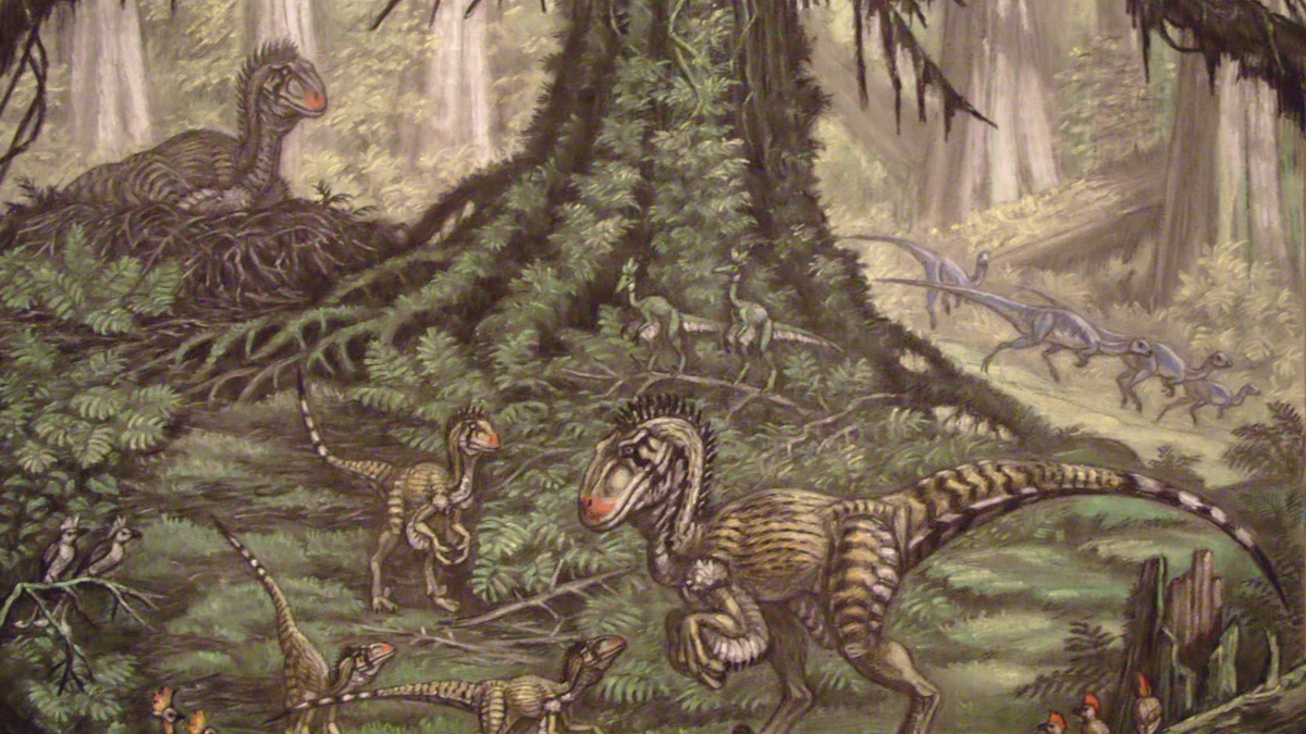Descubren en Bolivia más de 18.000 huellas de dinosaurio, el mayor ...