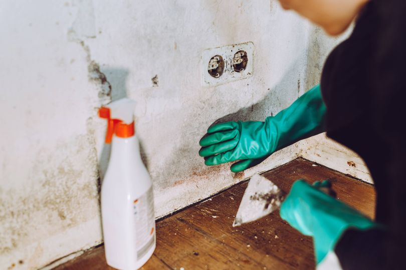 Scandinavian method helps stop mould in your home and it costs nothing
