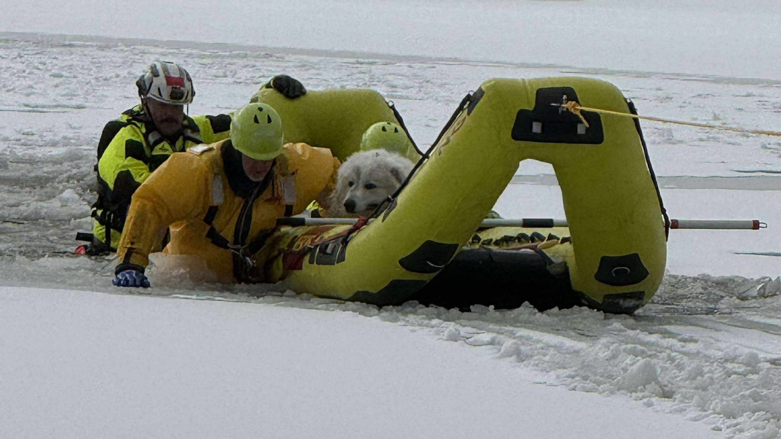 Firefighters save dog stranded on ice in Remsen