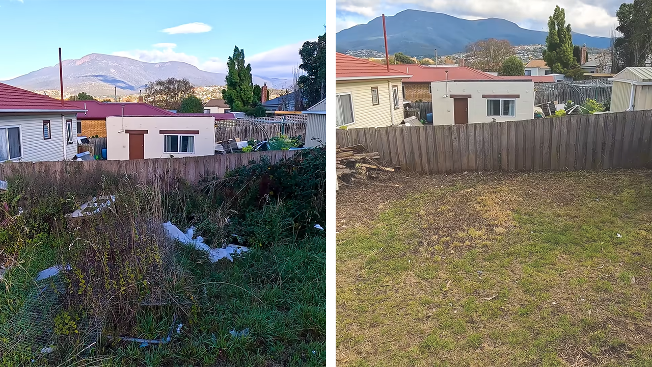 What happens when you ignore your yard for a decade