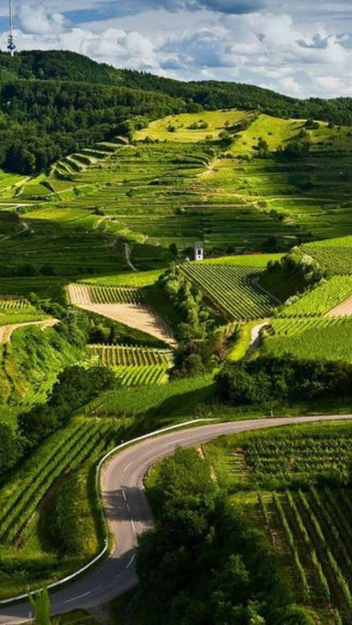 best-places-to-visit-in-south-india-in-december-2025