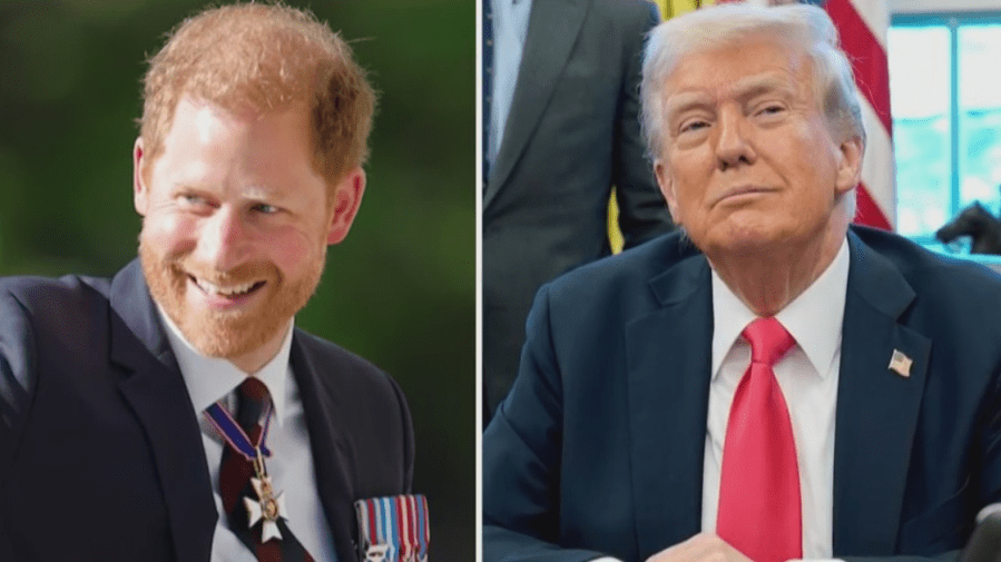 Prince Harry rebukes President Trump’s NATO soldiers comments<br>