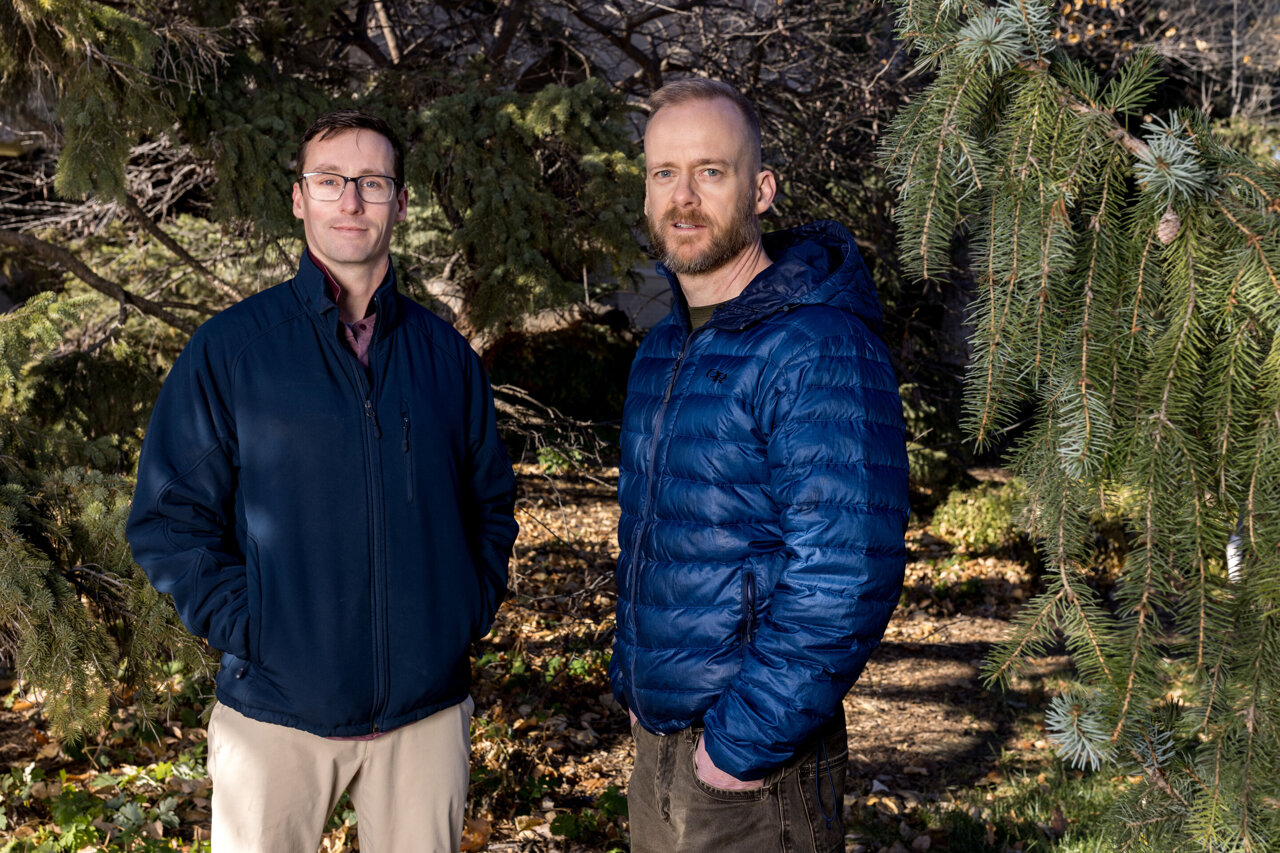 Young mountain lions face barriers from roads and development across ...
