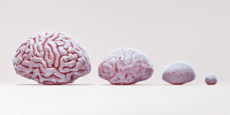 Scientists discovered the human brain goes on its own life-long 'Eras Tour'