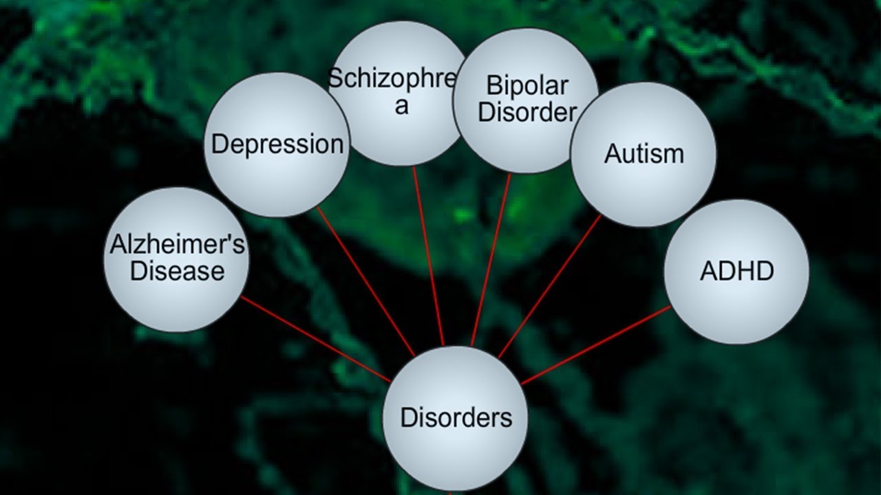 Interactive cognition map