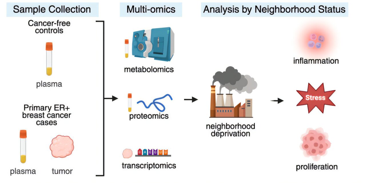 Biomarkers link ER+ breast cancer to neighborhood poverty