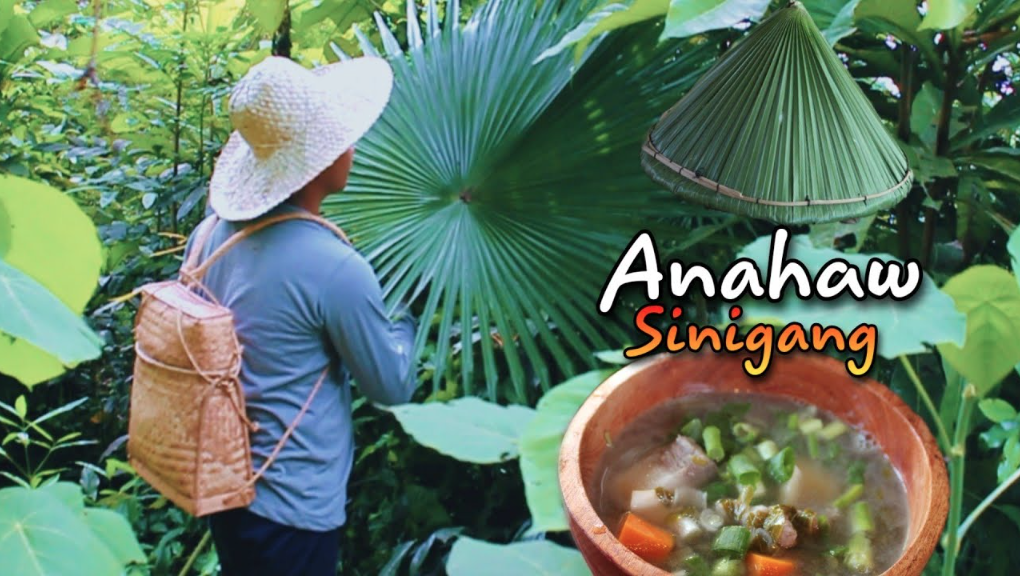 How to cook sinigang with anahaw ubod | Humble Filipino life