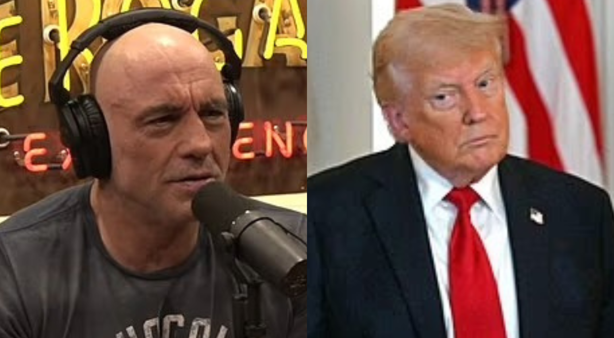 79-year-old kid: Joe Rogan reveals Donald Trump is an odd guy as new ...