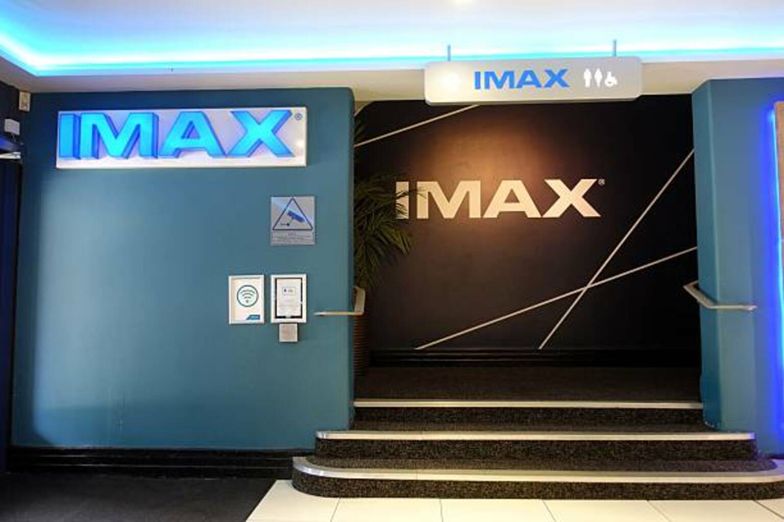 A Netflix shadow hangs over IMAX despite its record-setting box office year<br><br>