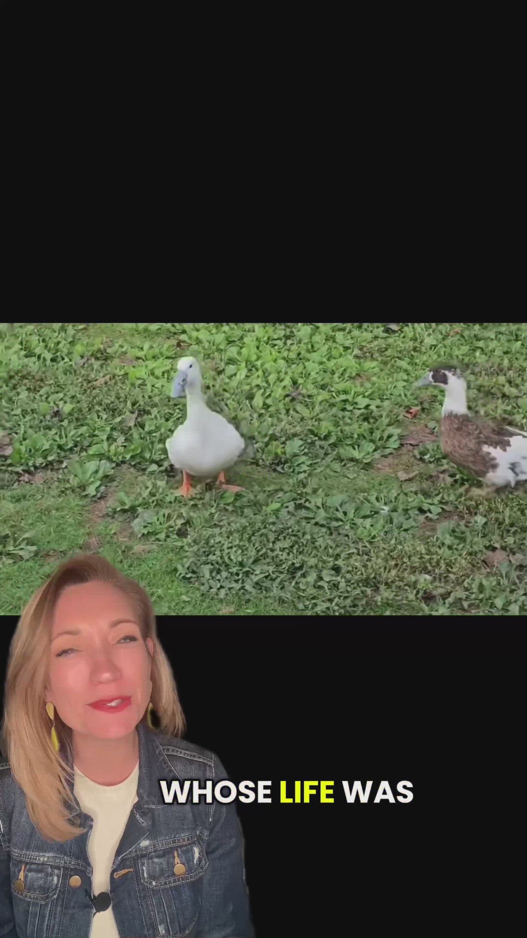 Duck saved by 3D printed beak