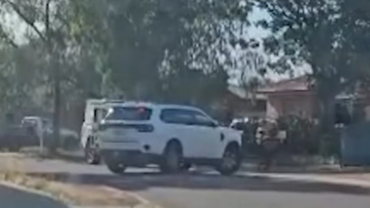 Woman dies after being attacked by dog