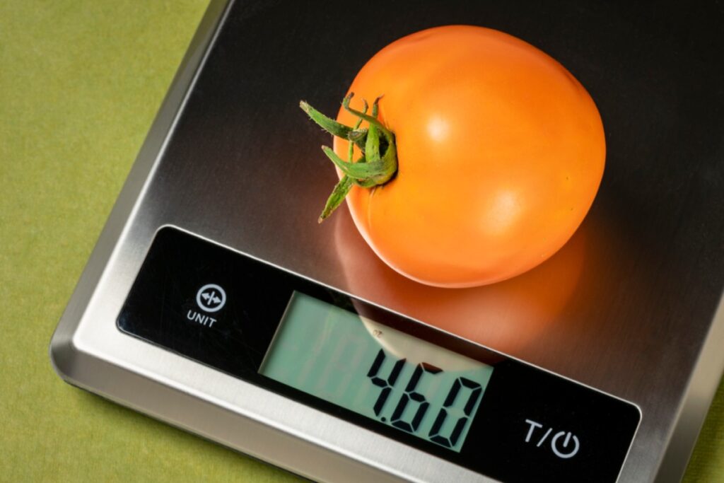 Etekcity digital food scale