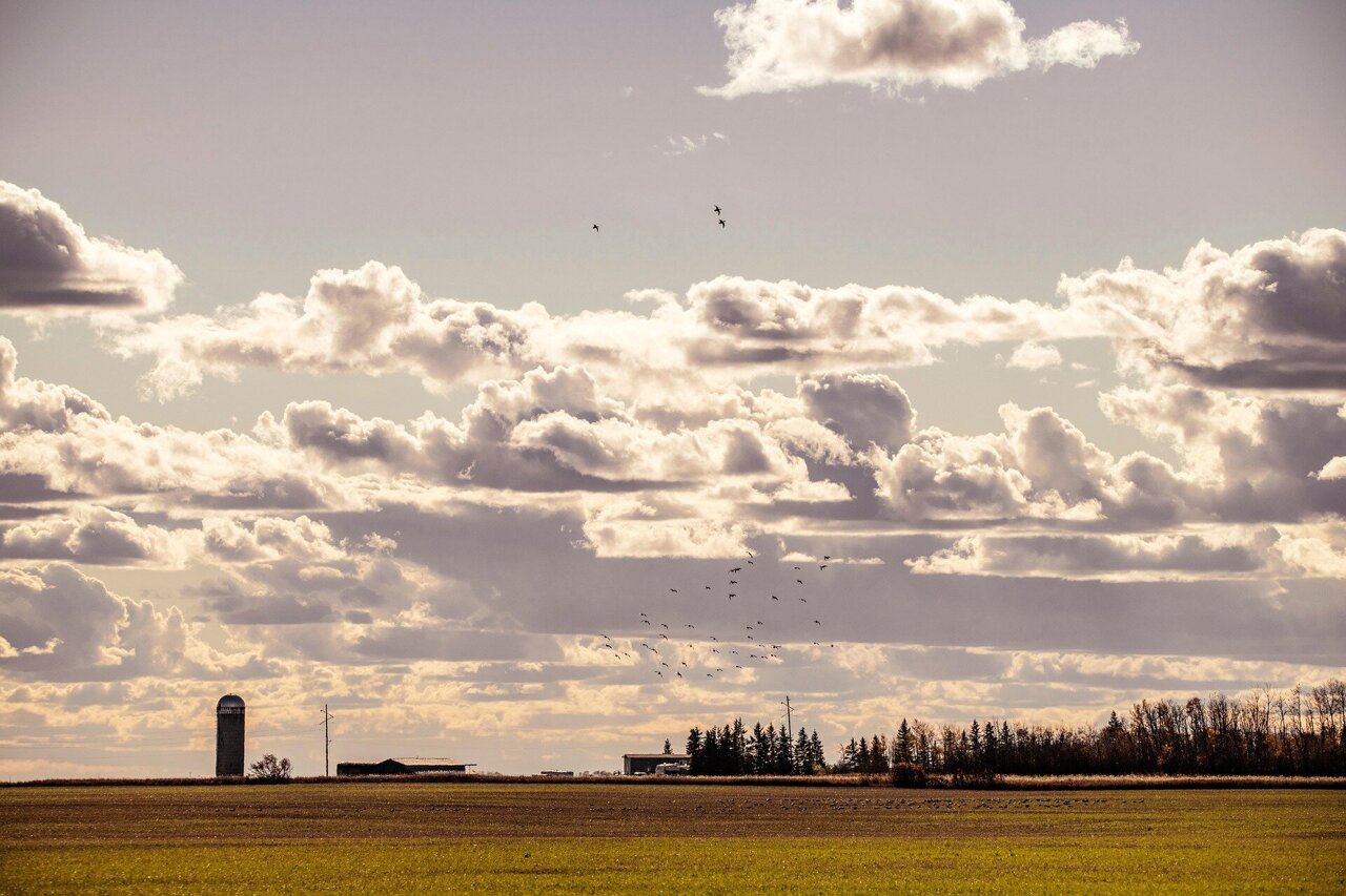 Canada's federal budget for 2025 shows partial alignment with farmers ...
