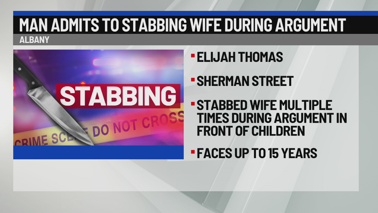 Albany man admits to stabbing wife