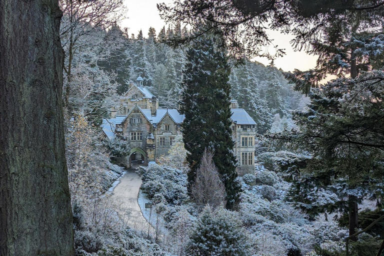 Christmas tree at Cragside in Northumberland takes world record title