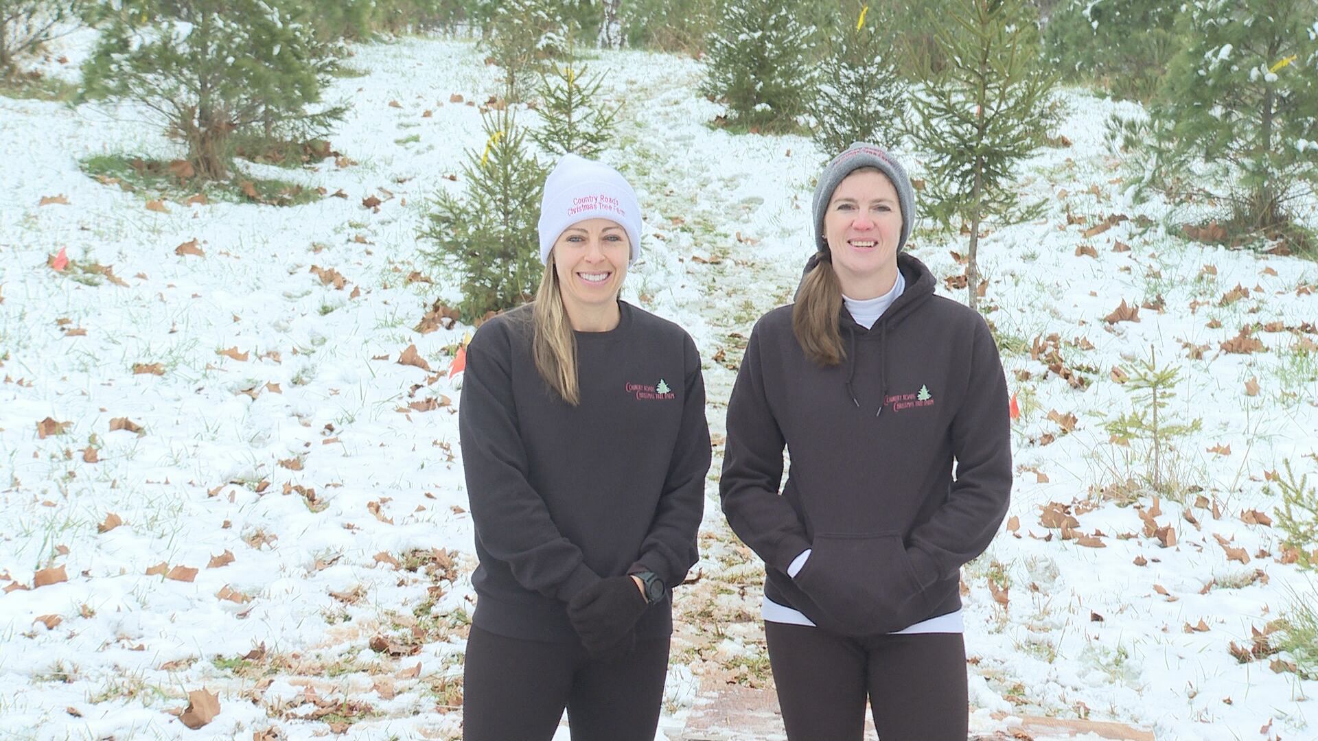 Country Roads Christmas Tree Farm brings holiday joy to Mineral Wells