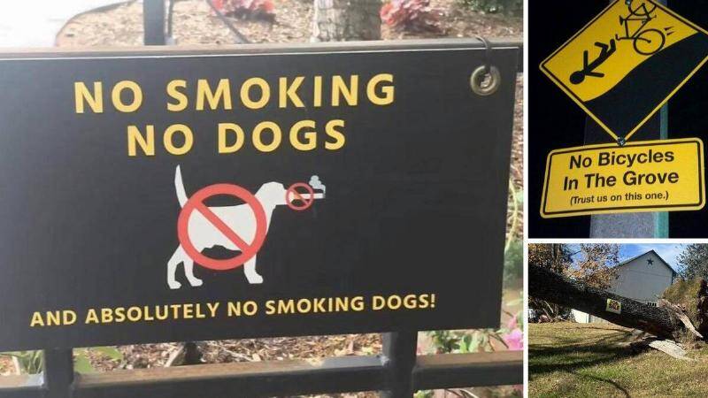 Funny signs spotted in everyday life