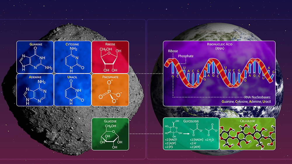 「生き物の材料」は宇宙起源かも。小惑星ベヌーから生命の糖を初検出