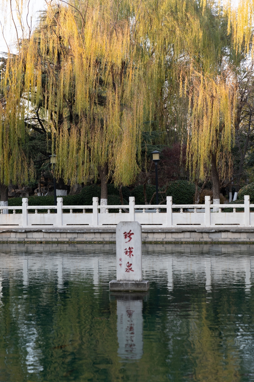 Miley Cyrus reveals real reason for Maxx Morando engagement