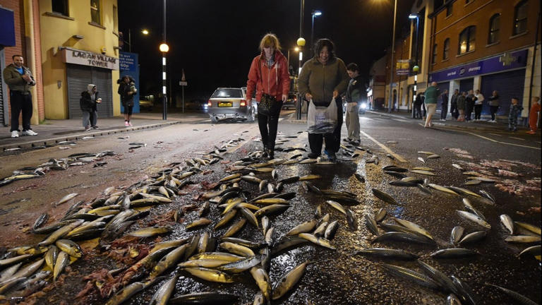 Which country has a festival where it literally rains fish?
