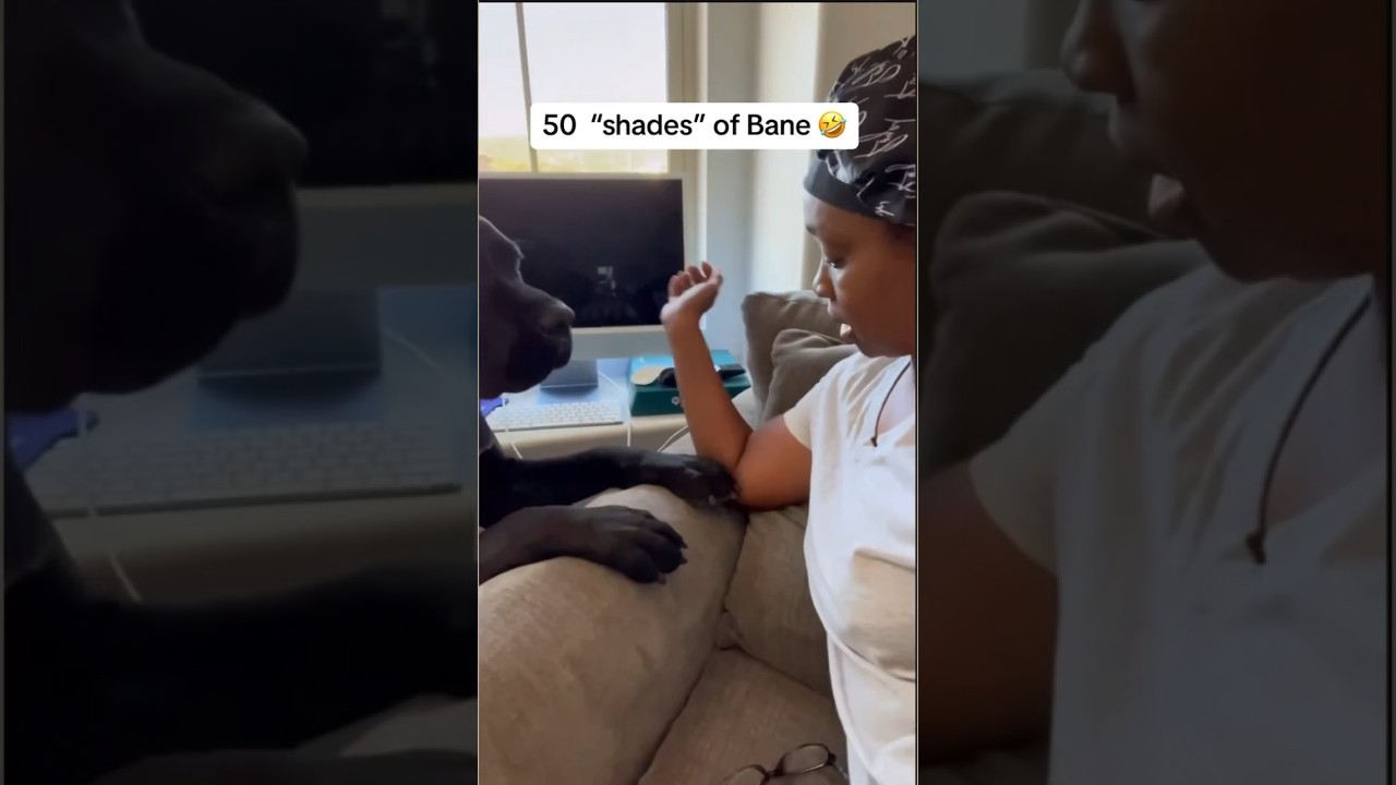 Mom gets fed up when dog gives her the side eye